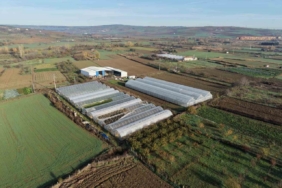 Tekirdağ’da 70 futbol sahası büyüklüğünde sera naylonu dağıtıldı