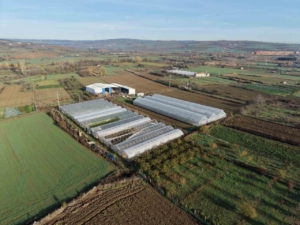 Tekirdağ’da 70 futbol sahası büyüklüğünde sera naylonu dağıtıldı