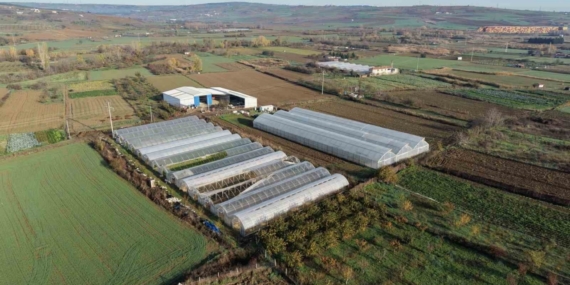 Tekirdağ’da 70 futbol sahası büyüklüğünde sera naylonu dağıtıldı