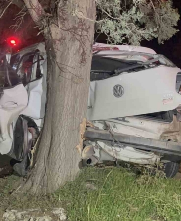 Tekirdağ’da ağaca çarpan otomobilin sürücüsü yaralandı