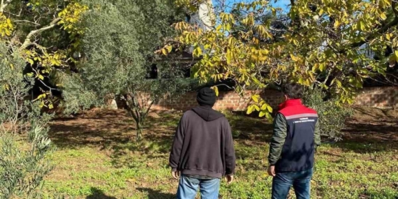 Tekirdağ’da ceviz bahçesinde hastalık ve zararlı kontrolü yapıldı