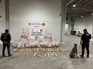 Ticaret Bakanlığı Gümrükler Muhafaza ekipleri, kaçakçılıkla mücadelesini sürdürüyor