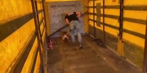 Tırın tabanına binlerce uyuşturucu hap sakladılar