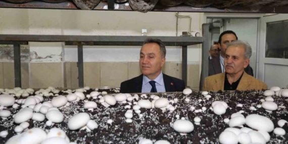 TOGÜ’de üretime dayalı eğitim modelleri güçleniyor