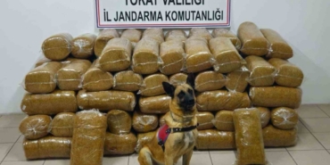Tokat’ta 485 kilogram kaçak tütün ele geçirildi