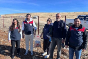 Tunceli’nin 4 ilçesinde sarımsak ekimi yapıldı