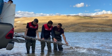 Türkiye nüfusu kadar balık deniz ve göllere bırakıldı