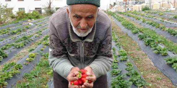 Türkiye onu yoldan geçenlere bahçesinden ikram ettiği meyvelerle tanıdı, bugün acı haber geldi