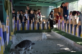 Türkiye’de ilk olan ’Küçük Dostlar Ambulansı’ ile 10 bin 280 can kurtarıldı