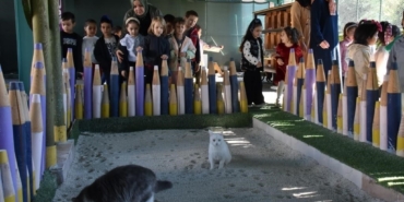 Türkiye’de ilk olan ’Küçük Dostlar Ambulansı’ ile 10 bin 280 can kurtarıldı