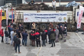 Türkiye’nin ceviz başkenti Denizli’de ceviz fidanı dağıtımı başladı
