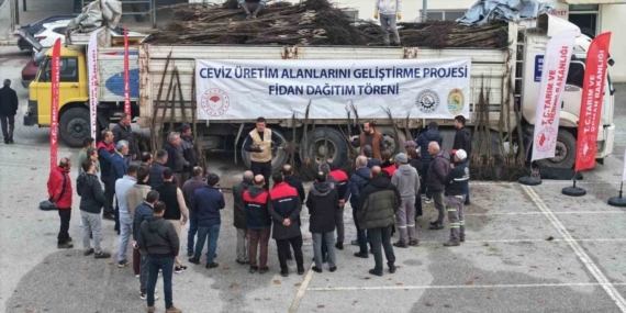 Türkiye’nin ceviz başkenti Denizli’de ceviz fidanı dağıtımı başladı