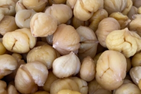 Türkiye’nin yüzde 33’ünü karşılayan Aydın Kestanesi, ihracata hazırlanıyor