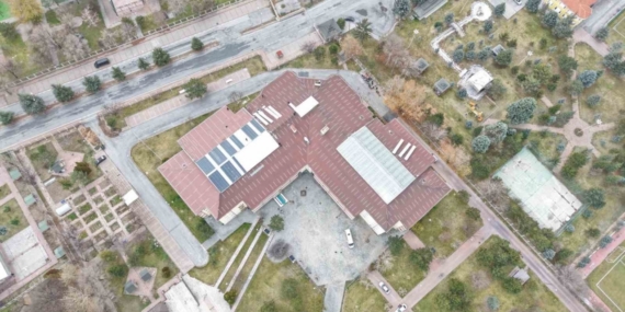 Ulu çınarların yuvası yenileniyor