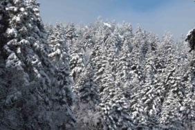 Uludağ’da göz gözü görmüyor