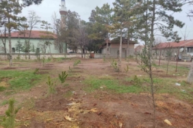 Umraniye köylüleri 300 adet fidanı okul ve camii bahçesine diktiler