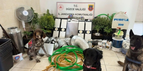 Uyuşturucu ticareti yapan 1 kişi gözaltına alındı