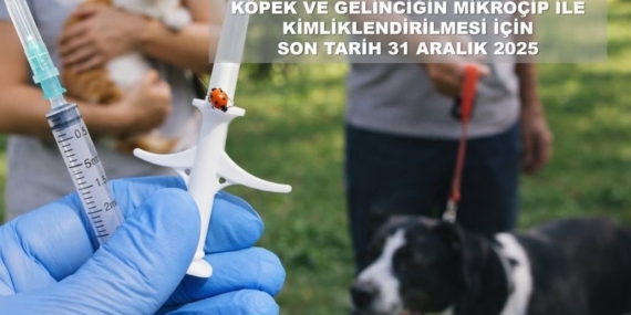 Valilikten evcil hayvan uyarısı