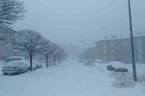 Van kar yağışı: 569 yol kapandı, uçak seferleri iptal edildi