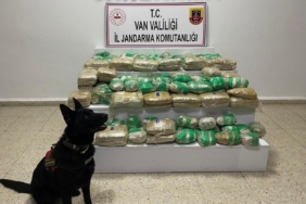 Van’da 51 kilo skunk ele geçirildi