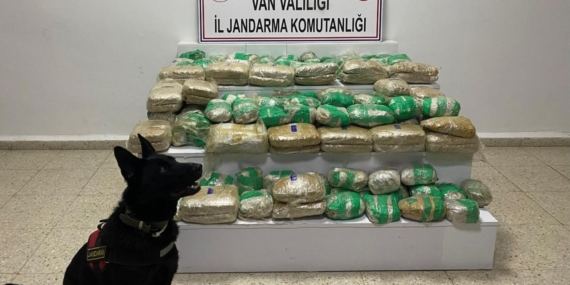 Van’da 51 kilo skunk ele geçirildi