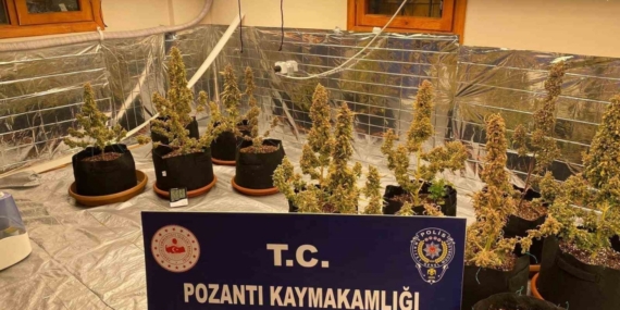 Villada uyuşturucu yetiştirmişler: Torbacı ’sevgililer’ yakalandı, 4 kilo uyuşturucu ele geçirildi
