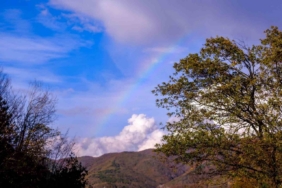 Yağıştan sonra gökyüzünde gökkuşağı oluştu