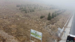 Yahyalı’ya bin 200 fidan dikildi