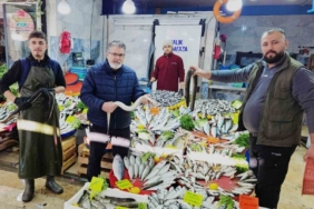 Yılan balıkları7 bin kilometre kat ederek Meksika Körfezi’nden Aydın’a ulaştı