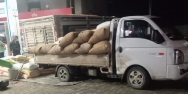 Yılbaşına günler kala fındık fiyatları yükselişe geçti