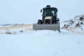 Yüksek rakımlı Aydınlar beldesinde kar esareti başladı
