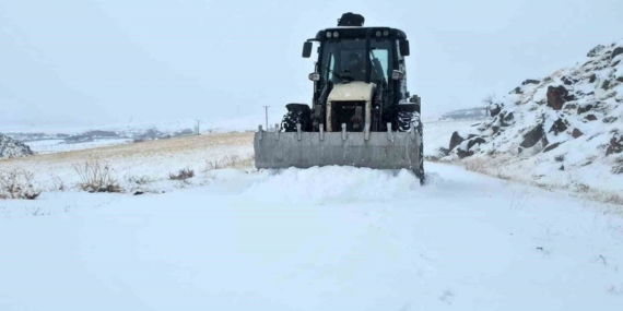 Yüksek rakımlı Aydınlar beldesinde kar esareti başladı