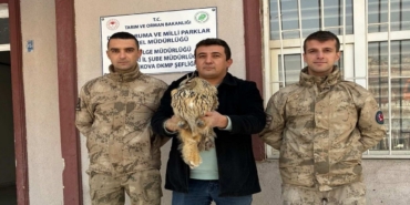 Yüksekova’da boynuzlu baykuş tedavi altına alındı