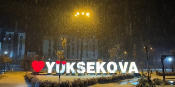 Yüksekova’da lapa lapa kar yağışı