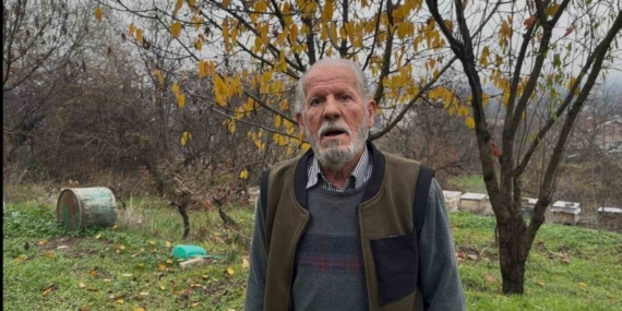 Zirai ilaç yüzünden milyonlarca arısı kovana dönemeden öldü