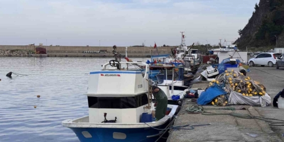 Zonguldak’ta hamsi yoğunluğu yaşandı, palamut çıkmadı