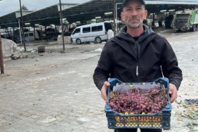 2025 yılı üzümlerini 2026’da bitirdi