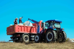2025’te toprağa bereket yağdı: Çiftçilere 166 milyon TL’lik destek