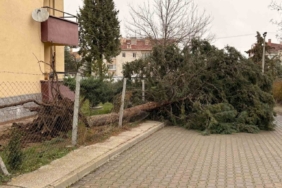 75. Yıl Mahallesi fırtınadan olumsuz etkilendi