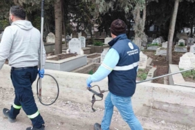 Adana’da sokak köpeği endişesi