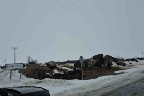 Adilcevaz’da kuduz alarmı: Bir köy karantinaya alındı