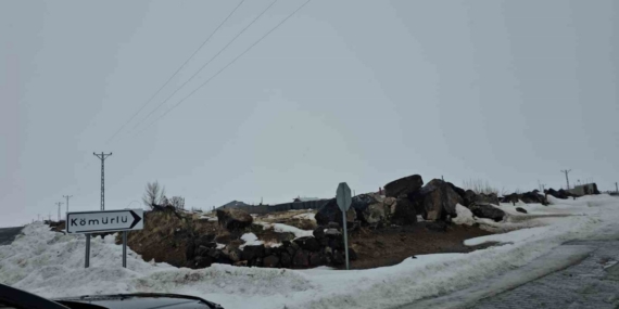 Adilcevaz’da kuduz alarmı: Bir köy karantinaya alındı