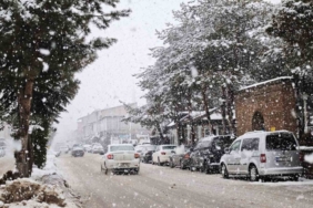 Ahlat’ta yoğun kar yağışı