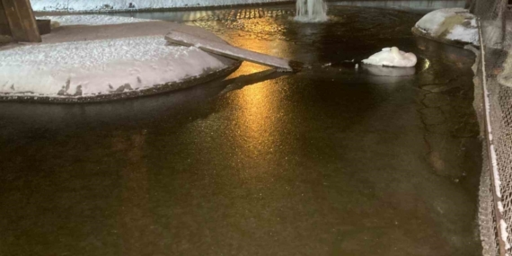 Ankara’da kar yağışının ardından hava sıcaklığı eksi 11 dereceye kadar düştü