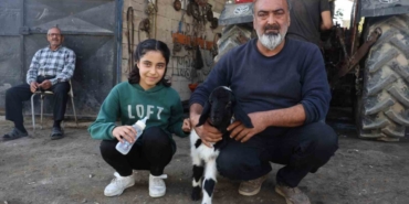 Annesi telef olan kuzuya şefkatle yaklaşan aile, Karabaş’ı biberonla besliyor