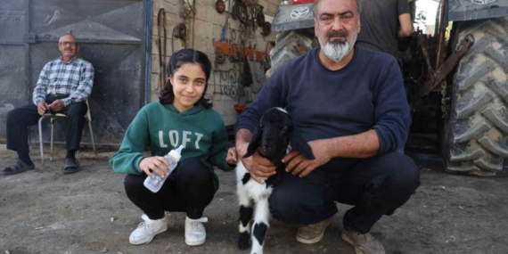 Annesi telef olan kuzuya şefkatle yaklaşan aile, Karabaş’ı biberonla besliyor