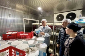 Antakya’da süt ürünleri üreten firma incelendi