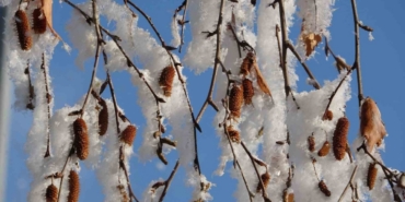 Ardahan’da Sibirya soğukları devam ediyor