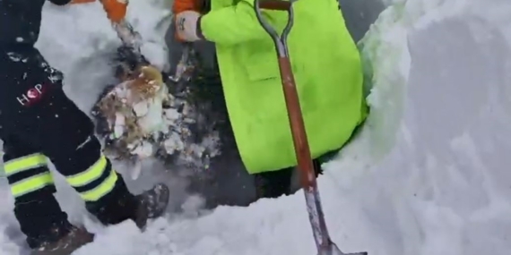 Artvin’de çığ bölgesinde arama kurtarma çalışmaları ikinci günde yeniden başladı