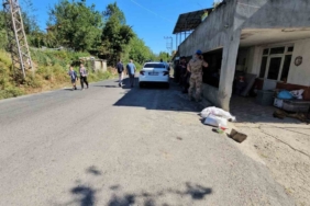 Babaanne ve iki torununun öldüğü cinayetin sanığı, mahkemede kendini savundu